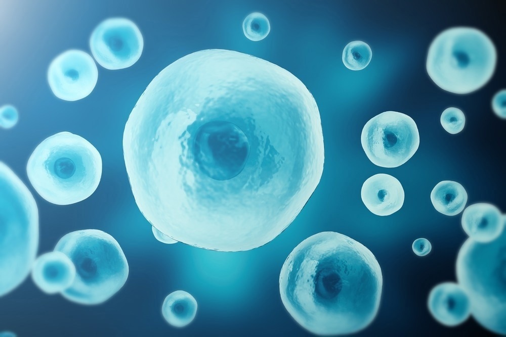 Applications of Liquid Cell TEM