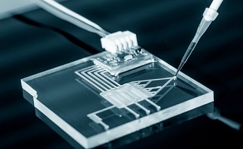 Patenting in the Field of Nanotechnology by Elkington and Fife Patent and Trademark Attorneys