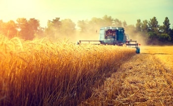 Agriculture and the Environment - How Nanomaterials and Nanoparticles Can Benefit These Sectors