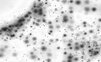 Magnetic Fluids and Magnetic Media Processing Methods