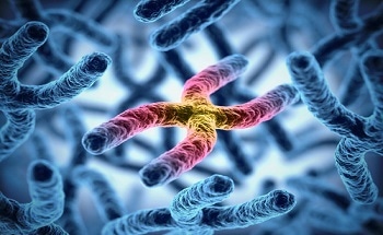 Nano-Scale Genomic and Proteomic Analysis in Living Cells