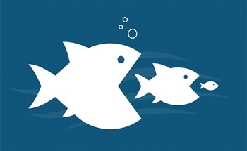 Consequences of Nanotechnologies on the Environment and the Food Chain