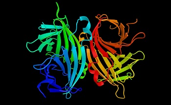 Characterization of Biotin Avidin System for Use of Biomaterials