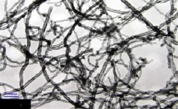 Purified Multi Walled Carbon Nanotubes, MWNTs and Their Properties