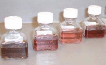 10nm-Axial Diameter Gold Nanorods Kit - Features and Applications