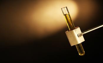 Features and Applications of Palladium Nanoparticles