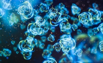 Applications and Key Driving Factors Behind Nanotechnology Advancement