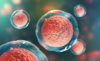 Targeted Nanoparticles as a Safe Platform for Delivery of RNAi Payloads to Immune Cells