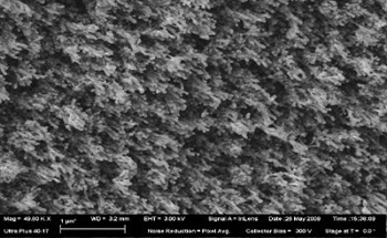 How Nanotechnology Promises to Greatly Reduce the Manufacturing Cost of Fuel Cells
