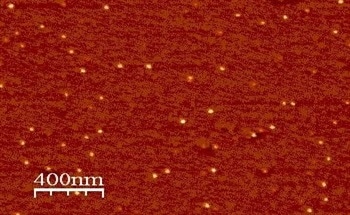 Applications of Functionalized PMMA Derivatives in Nanobiomedicine and Nanotechnology