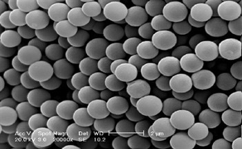 Coventry Still Makes Transport; Unique Molecular Delivery Systems for Functional Polymers