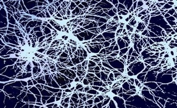 Fractals in Nano-Devices