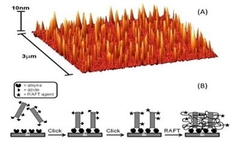 Are Carbon Nanotubes the Ultimate Water Transporters?