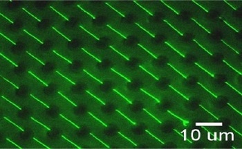 DNA for Biosensing Applications