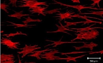 Nanostructured Materials for Permanent and Bioresorbable Medical Implants
