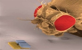 Nanorobots and Microrobots - Potential Applications are Exciting, Many Challenges Remain to be Addressed