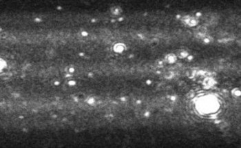 Counting, Sizing and Visualizing Aggregation in Proteins Using Nanoparticle Tracking Analysis