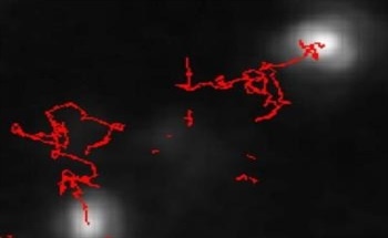 Applications of Nanoparticle Tracking Analysis (NTA) in Nanoparticle Research