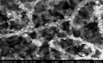 Nanoscale Multifunctional Materials: Nature Inspired Hierarchical Architectures