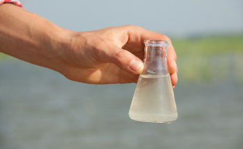 Nanotechnology and Water Purification
