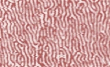 Magnetic Thin Films and Nanostructures: Patterning New Properties