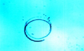 Shaped Nanomembranes - Introduction to Shaped Nanomembranes