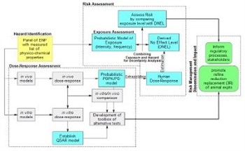 Nanotechnology and Risk Assessment