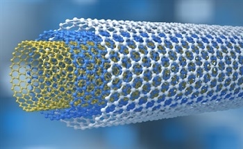 Biosensing with Nanotubes