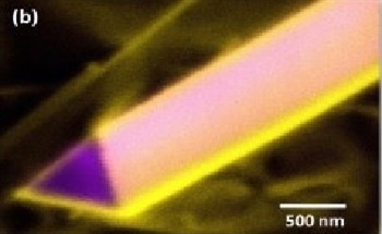 III-Nitride Semiconductor Nanowires - Novel Materials for Optoelectronic and Energy Applications