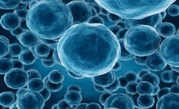 Nanoparticles for Molecular Imaging