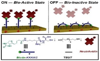 Nanoengineering of the Next Generation of Biological Surfaces