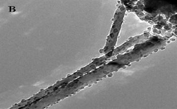 Nanomaterials Growth and Synthesis - Development of Next Generation Nanoscale Heterostructures