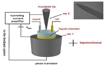 An Overview and Future Trends in Biomolecular Electronics
