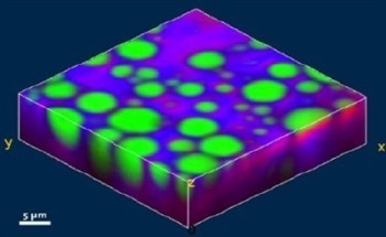 Ultrafast and Ultrasensitive Acquisition of 3D Confocal Raman Imaging Using alpha 300R
