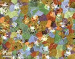 Graphene Grain Imaging Using TEM and Diffraction Filtered Imaging