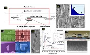 B-C-N Nanotubes, Nanosheets, Nanoribbons, and Nanostructures
