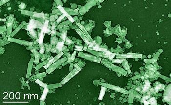 Cobalt (Co) Nanoparticles - Supplier Data