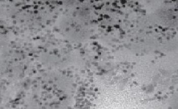 Palladium (0.6% on Activated Carbon, 50% Water-Wet Paste)