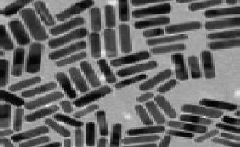 Gold Nanorods Kit (Axial Diameter - 10 nm)