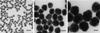 Silver Nanoparticle Dispersions from Aldrich Materials Science