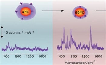 Responsive Microgel Composite Colloids for Plasmonic Sensing