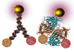 Dealing With Nano-Waste - Can Nanoparticles Be Recycled?