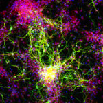 Nanotechnology in Regenerative Medicine