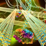 Nano-Machines Behave Like Human Muscle