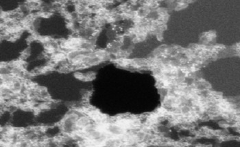 Selective Graphene Membranes by Exploiting Natural Nanopore Defects