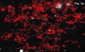 World-Leading Nanoparticle Characterization