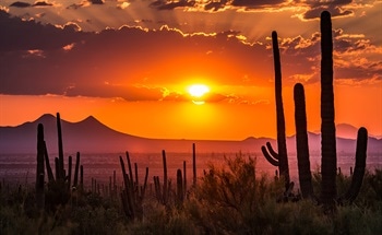 Nanotechnology in Arizona, USA: Market Report