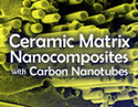 Ceramic Matrix Nanocomposites with Carbon Nanotubes
