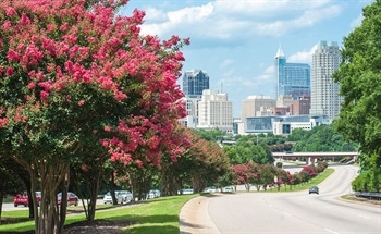 Nanotechnology in North Carolina, USA: Market Report