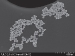 The Evaluation of Nanomaterials for Theranostics Applications